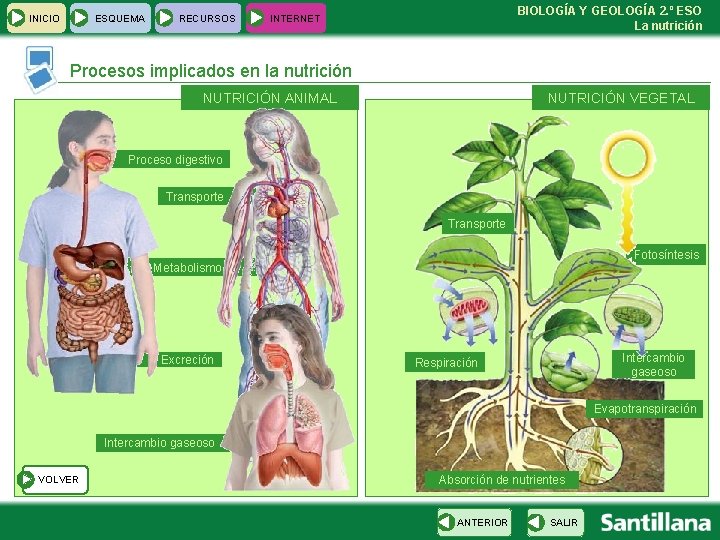 INICIO ESQUEMA RECURSOS BIOLOGÍA Y GEOLOGÍA 2. º ESO La nutrición INTERNET Procesos implicados