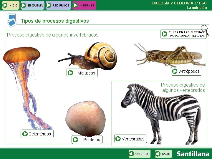 INICIO ESQUEMA RECURSOS BIOLOGÍA Y GEOLOGÍA 2. º ESO La nutrición INTERNET Tipos de