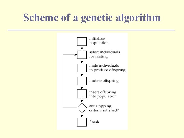 Scheme of a genetic algorithm 