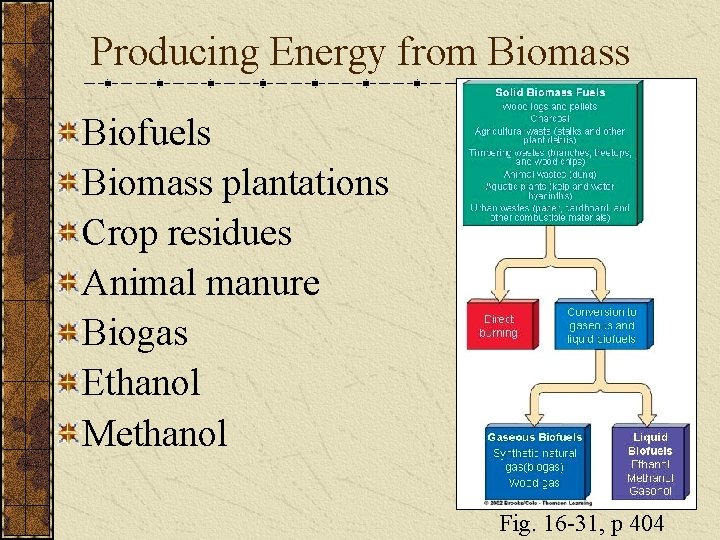 Producing Energy from Biomass Biofuels Biomass plantations Crop residues Animal manure Biogas Ethanol Methanol