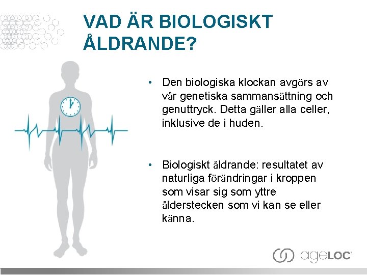 VAD ÄR BIOLOGISKT ÅLDRANDE? • Den biologiska klockan avgörs av vår genetiska sammansättning och