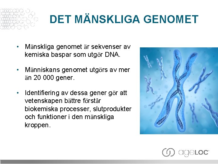 DET MÄNSKLIGA GENOMET • Mänskliga genomet är sekvenser av kemiska baspar som utgör DNA.