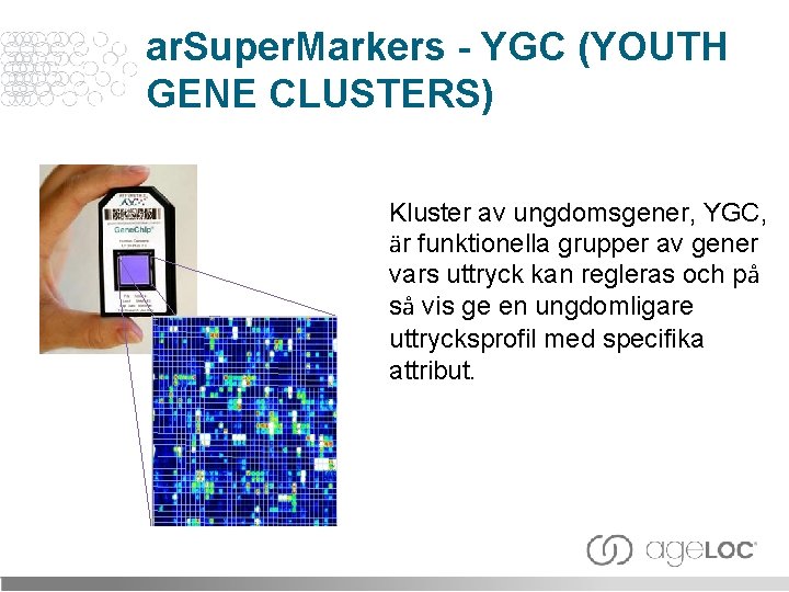 ar. Super. Markers - YGC (YOUTH GENE CLUSTERS) Kluster av ungdomsgener, YGC, är funktionella