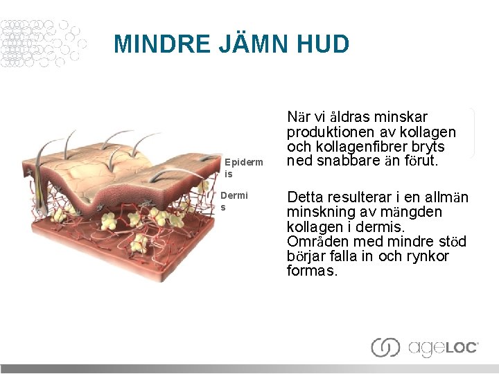 MINDRE JÄMN HUD Epiderm is Dermi s När vi åldras minskar produktionen av kollagen