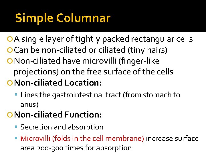 Simple Columnar A single layer of tightly packed rectangular cells Can be non-ciliated or