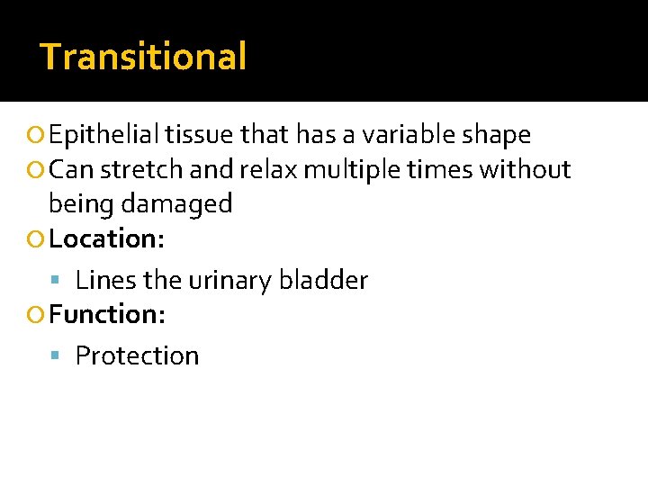 Transitional Epithelial tissue that has a variable shape Can stretch and relax multiple times