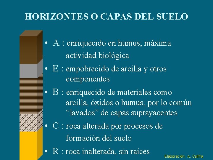 HORIZONTES O CAPAS DEL SUELO • A : enriquecido en humus; máxima actividad biológica