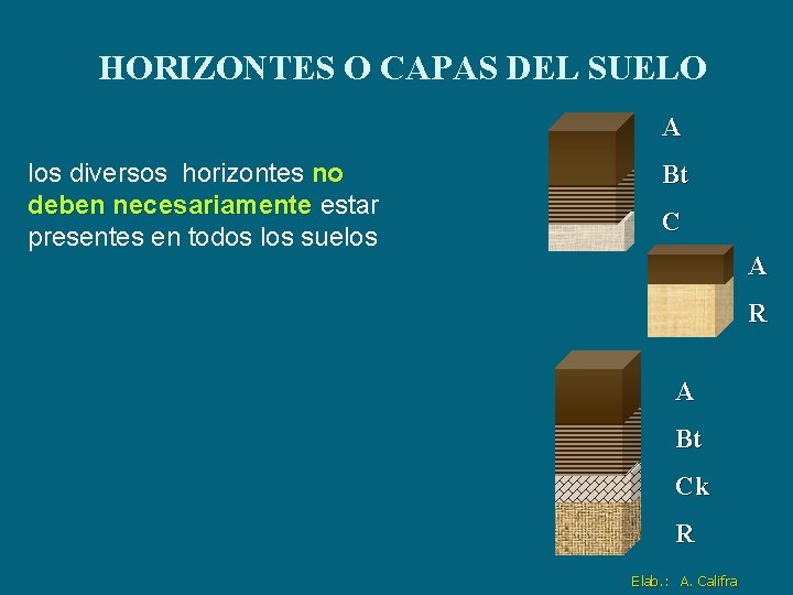 HORIZONTES O CAPAS DEL SUELO A los diversos horizontes no deben necesariamente estar presentes