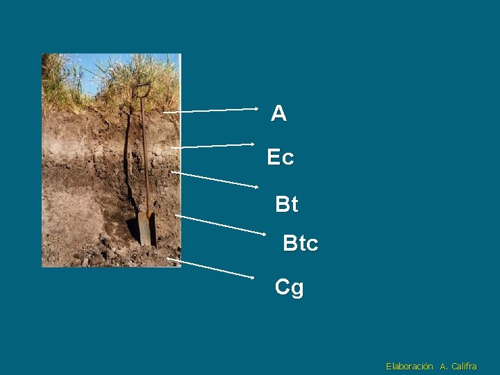 A Btc Ec Bt Btc Cg Elaboración A. Califra 