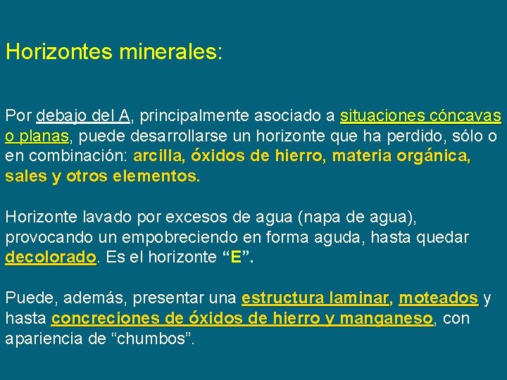 Horizontes minerales: Por debajo del A, principalmente asociado a situaciones cóncavas o planas, planas