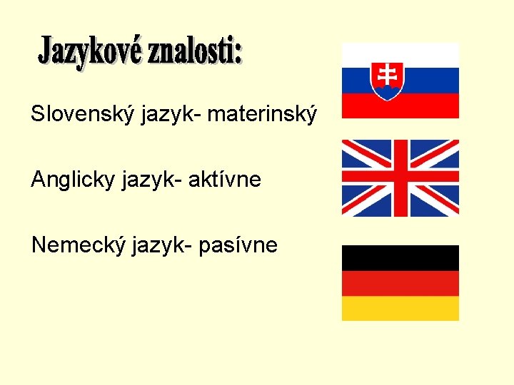 Slovenský jazyk- materinský Anglicky jazyk- aktívne Nemecký jazyk- pasívne 
