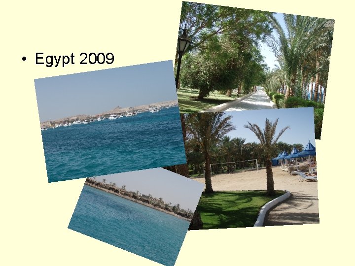  • Egypt 2009 