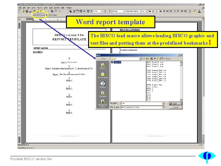 Word report template The BISCO load macro allows loading BISCO graphic and text files
