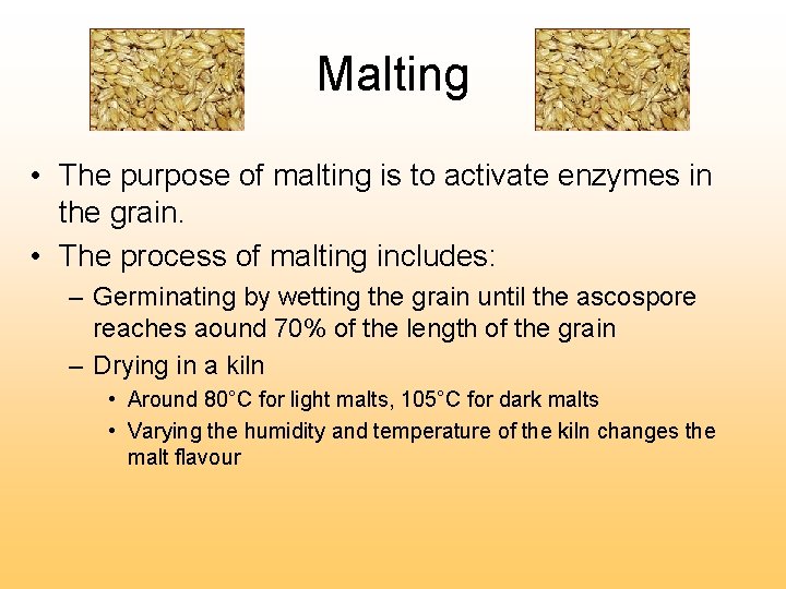 Malting • The purpose of malting is to activate enzymes in the grain. •