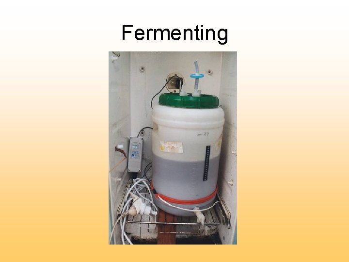 Fermenting 