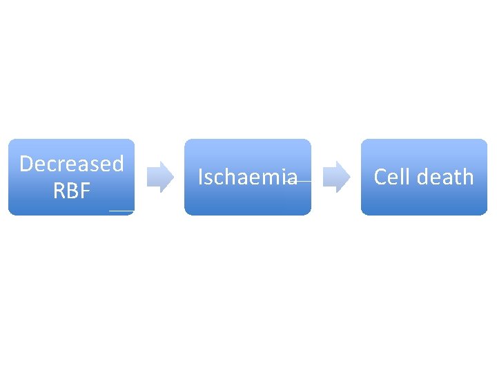 Decreased RBF Ischaemia Cell death 