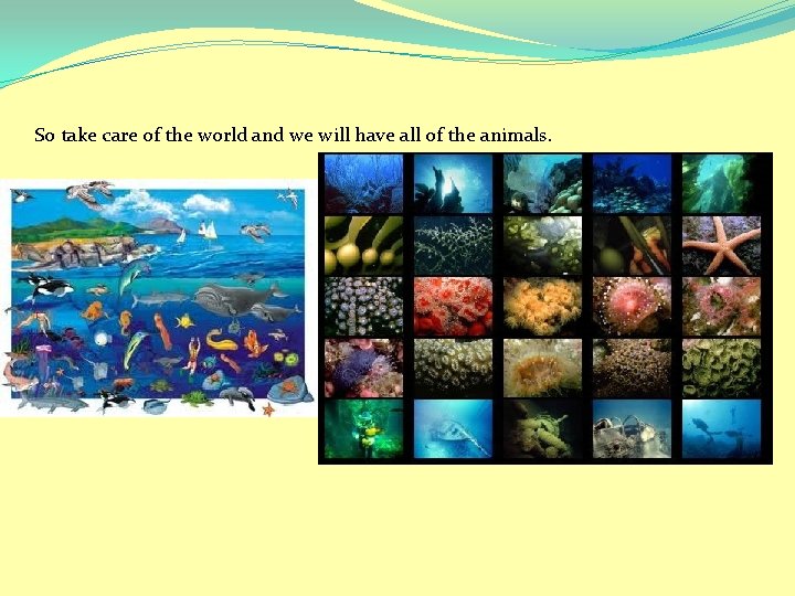 So take care of the world and we will have all of the animals.