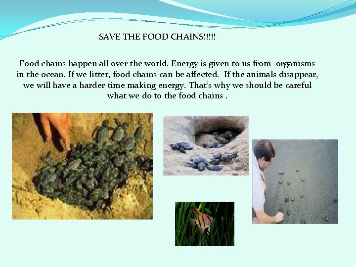 SAVE THE FOOD CHAINS!!!!! Food chains happen all over the world. Energy is given