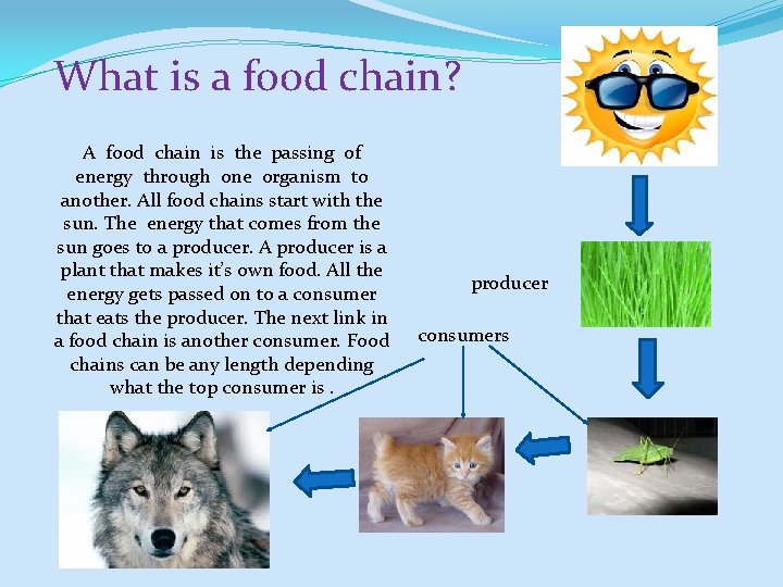 What is a food chain? A food chain is the passing of energy through