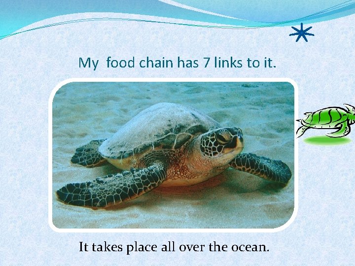My food chain has 7 links to it. It takes place all over the