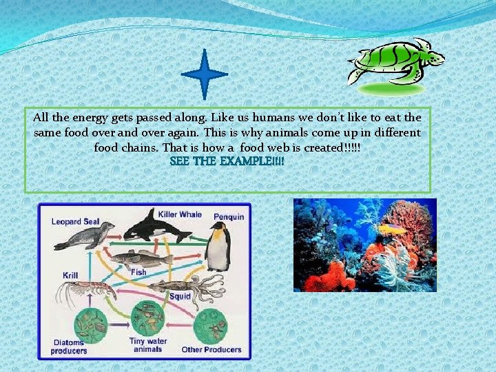 All the energy gets passed along. Like us humans we don’t like to eat