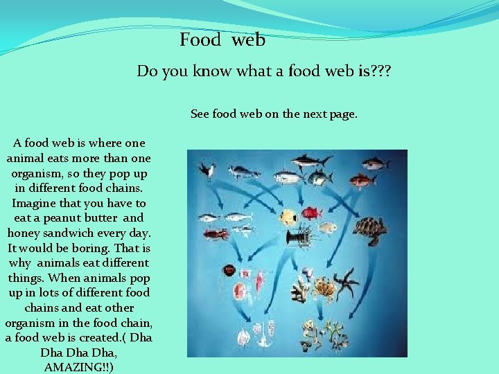Food web Do you know what a food web is? ? ? See food