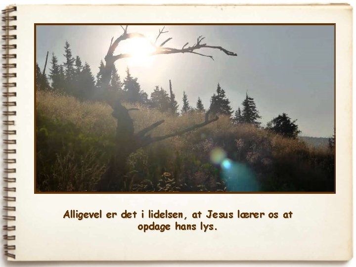 Alligevel er det i lidelsen, at Jesus lærer os at opdage hans lys. 