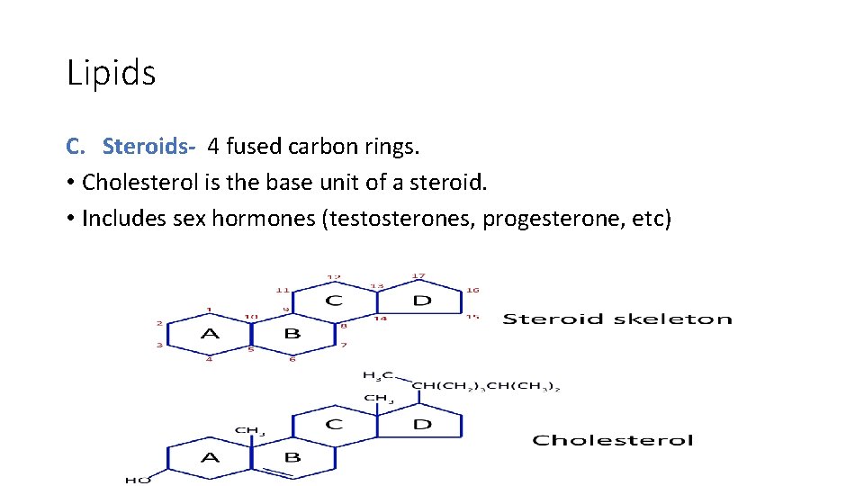 Lipids C. Steroids- 4 fused carbon rings. • Cholesterol is the base unit of