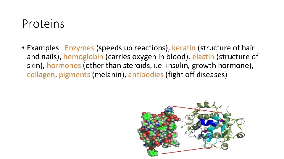 Proteins • Examples: Enzymes (speeds up reactions), keratin (structure of hair and nails), hemoglobin