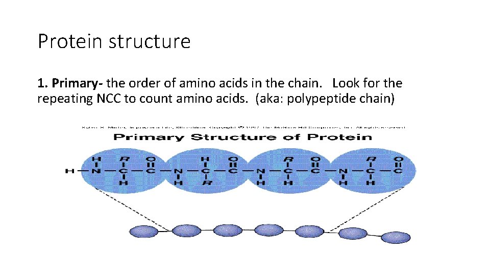 Protein structure 1. Primary- the order of amino acids in the chain. Look for