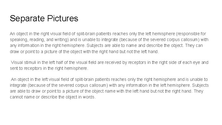 Separate Pictures An object in the right visual field of split-brain patients reaches only