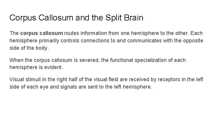 Corpus Callosum and the Split Brain The corpus callosum routes information from one hemisphere
