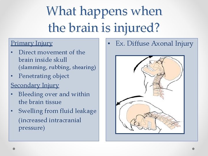 What happens when the brain is injured? Primary Injury • Direct movement of the