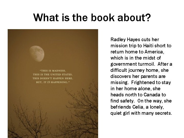 Safekeeping by Karen Hesse Safekeeping a modern novel