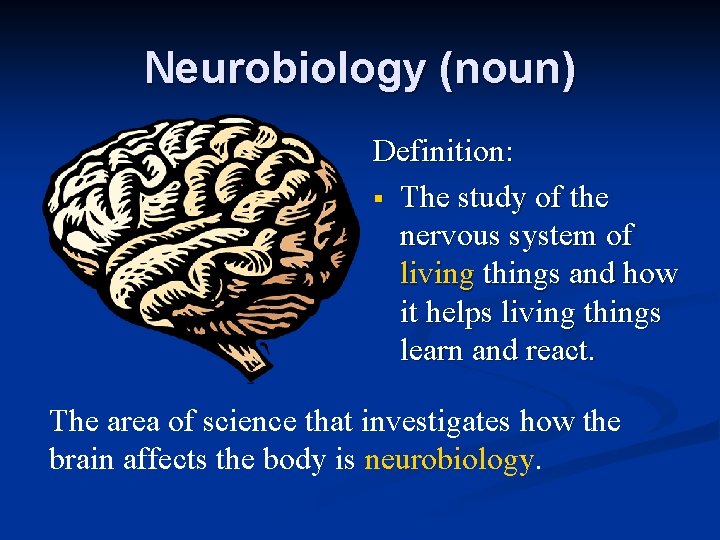 Neurobiology (noun) n Definition: § The study of the nervous system of living things