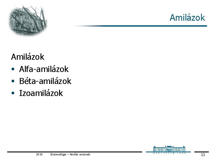 Amilázok § Alfa amilázok § Béta amilázok § Izoamilázok 2018 Enzimológia – Amiláz enzimek