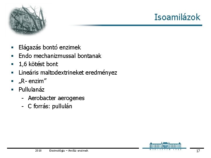 Isoamilázok § § § Elágazás bontó enzimek Endo mechanizmussal bontanak 1, 6 kötést bont