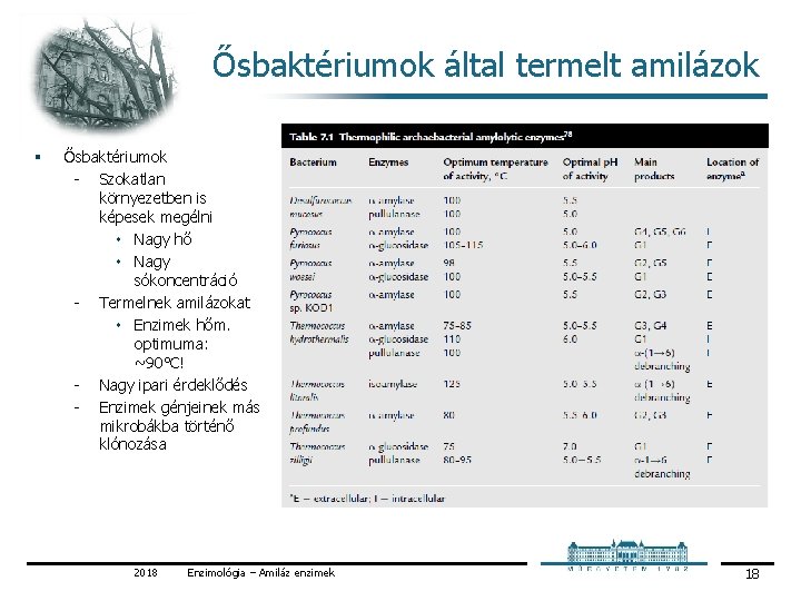 Ősbaktériumok által termelt amilázok § Ősbaktériumok Szokatlan környezetben is képesek megélni ۰ Nagy hő
