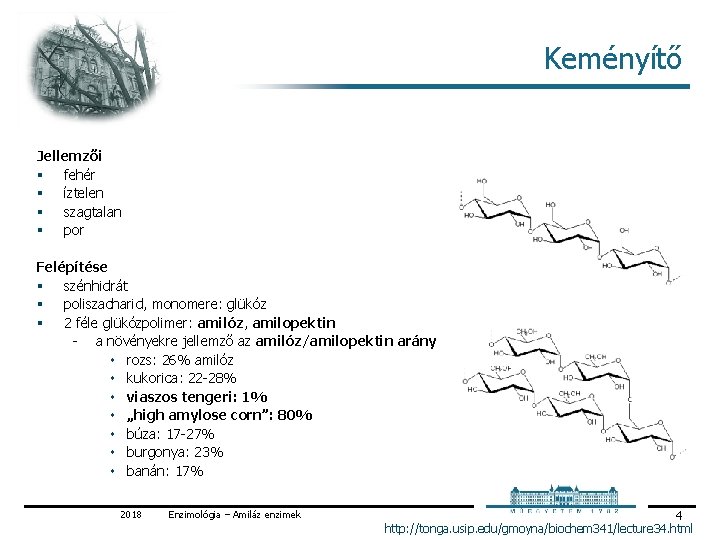 Keményítő Jellemzői § fehér § íztelen § szagtalan § por Felépítése § szénhidrát §