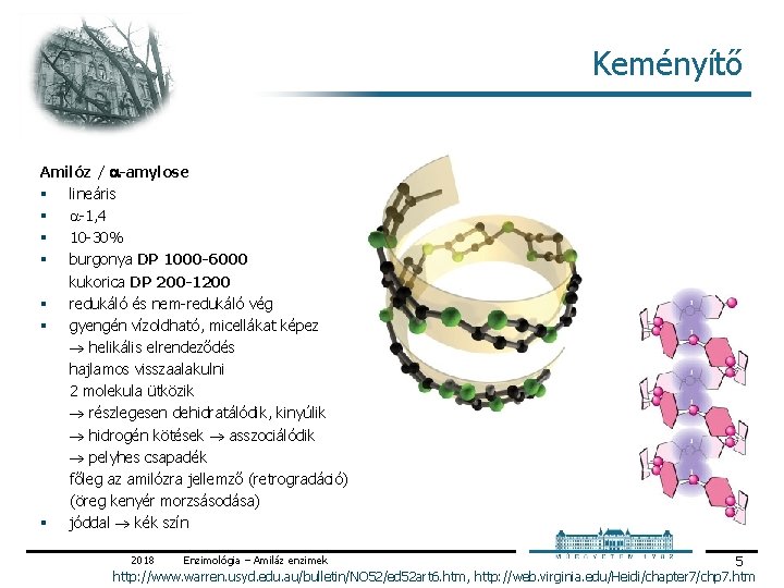 Keményítő Amilóz / -amylose § lineáris § 1, 4 § 10 30% § burgonya