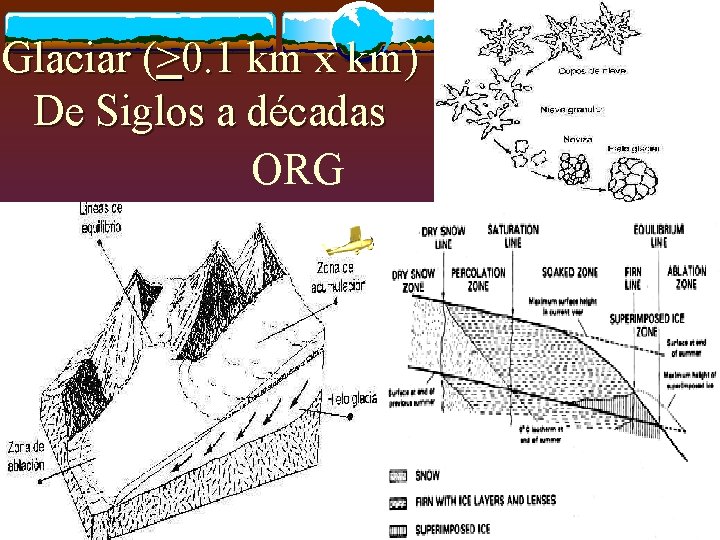 Glaciar (>0. 1 km x km) De Siglos a décadas ORG 