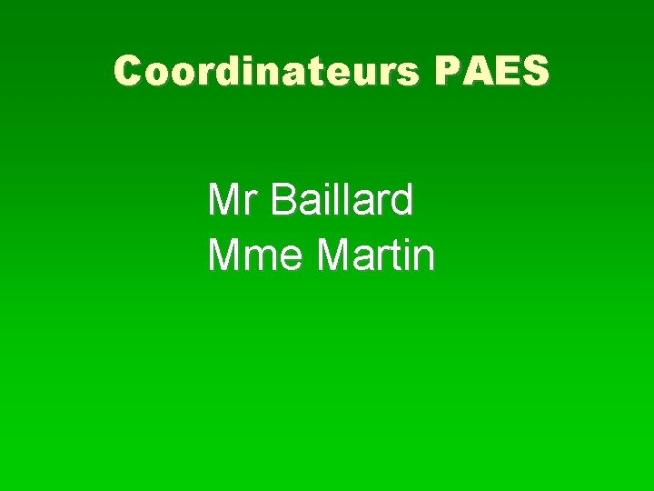 Coordinateurs PAES Mr Baillard Mme Martin 