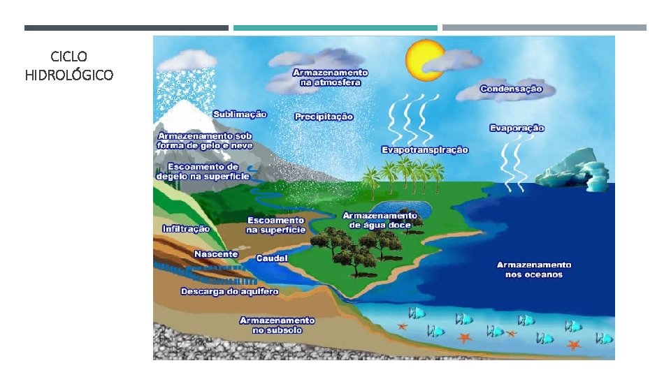 CICLO HIDROLÓGICO 