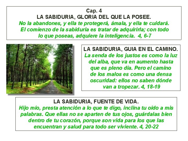 Cap. 4 LA SABIDURIA, GLORIA DEL QUE LA POSEE. No la abandones, y ella