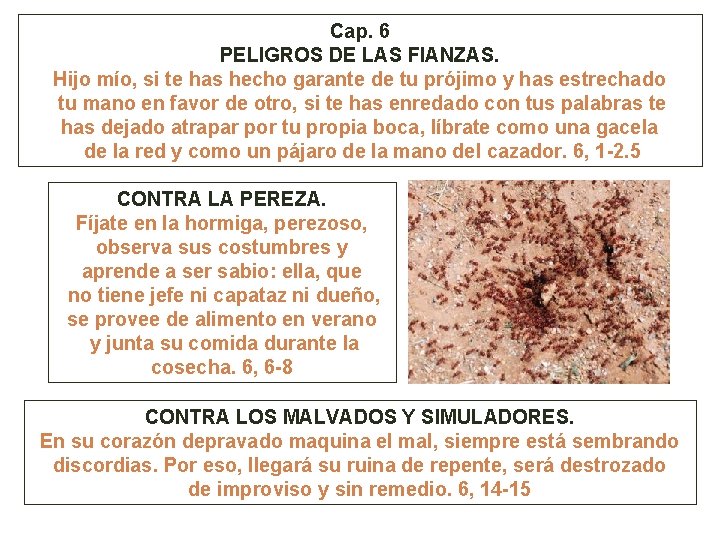 Cap. 6 PELIGROS DE LAS FIANZAS. Hijo mío, si te has hecho garante de