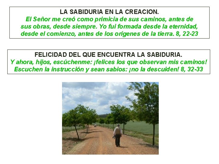 LA SABIDURIA EN LA CREACION. El Señor me creó como primicia de sus caminos,