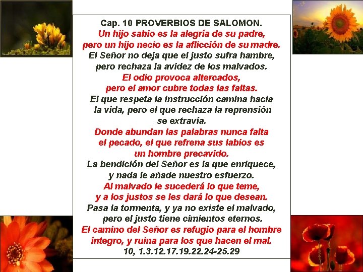 Cap. 10 PROVERBIOS DE SALOMON. Un hijo sabio es la alegría de su padre,