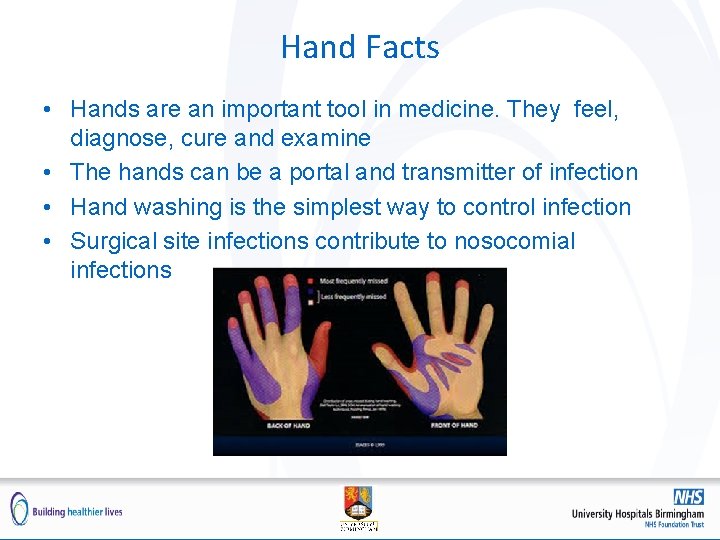 Hand Facts • Hands are an important tool in medicine. They feel, diagnose, cure