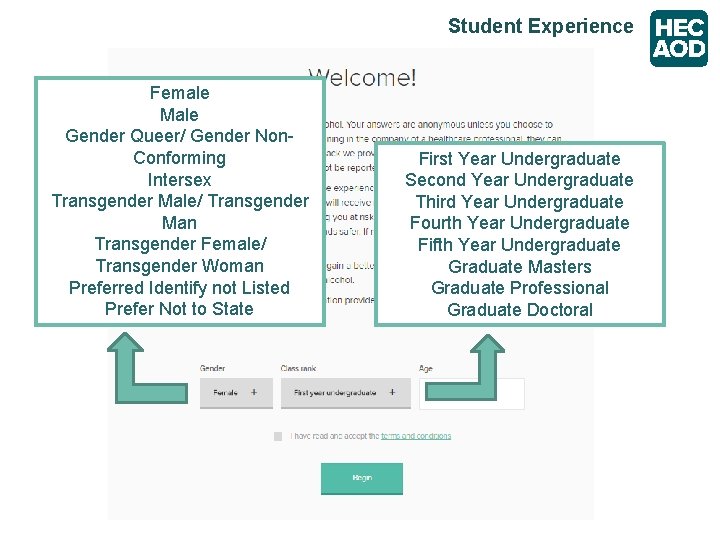 Student Experience Female Male Gender Queer/ Gender Non. Conforming Intersex Transgender Male/ Transgender Man