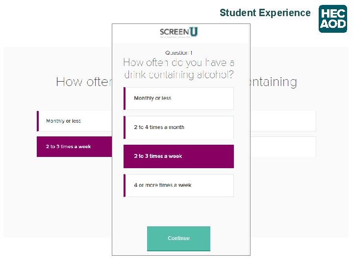 Student Experience 
